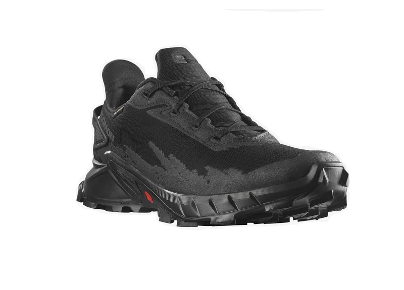 Αδιάβροχα Παπούτσια Salomon Alphacross 4 GTX Black 470640