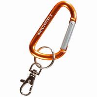 Μπρελόκ Carabiner Camp D 60mm (1102) 8-27-011
