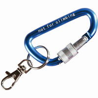 Μπρελόκ Carabiner Aσφαλείας Camp D 70mm (1344) 8-27-025