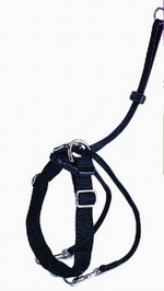 Εκπαιδευτικό Σαμαράκι EASY WALKER Xlarge 55-80cm PET CAMELOT (3525)