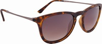 Γυαλιά Alpina Zaryn Glasses Havana Matt A8613.3.91 (8-10-125-036)