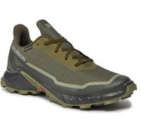 Αδιάβροχα Παπούτσια Salomon Alphacross 5 GTX Olive Night/Black/Deep Li 473103