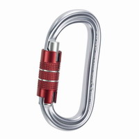 Καραμπινέρ Ασφαλείας Camp Oval XL 2 Lock 8-72-154