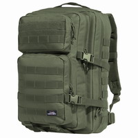 Σακίδιο Πλάτης Pentagon Assault Large D16002-06 Olive