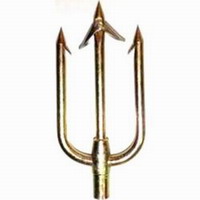 Τρίαινα Ενυσχυμένη Με Δελφινιέρα Seac Sub 7mm